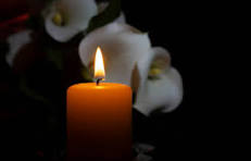Jeremey Burgard Accident Mesachie Lake BC Death Obituary 2026: Beloved Motorcyclist Remembered